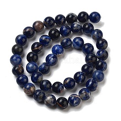 Cordes de perles de sodalite Afrique du Sud naturel&nbsp;LS-G-S259-35-8mm