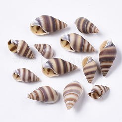Naturspirale Muschelperlen&nbsp;SSHEL-S258-84