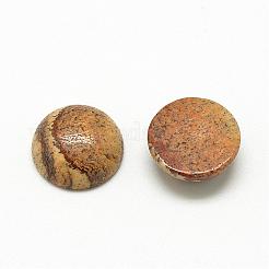 Natur Bildjaspisses cabochons&nbsp;G-R416-8mm-42