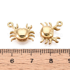 Pendentifs en acier inoxydable 304&nbsp;STAS-T069-36G
