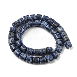 Natürliche blaue Fleck Jaspis Perlen Stränge&nbsp;G-G275-D21-10x10mm