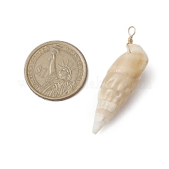 Natürliche Spirale Shell Anhänger&nbsp;PALLOY-JF02951