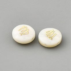 Natürlichen weißen Muschelperlen&nbsp;SHEL-WH0003-13I