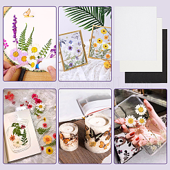 Löschpapier-Set&nbsp;DIY-WH0632-21B