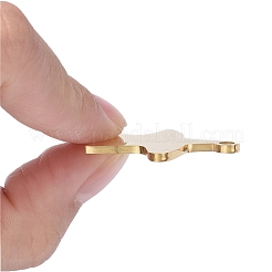 Pendentifs en acier inoxydable 304&nbsp;LS-STAS-I140-13G
