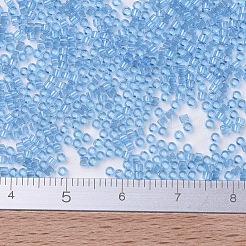 Miyuki Delica Perlen&nbsp;SEED-X0054-DB0113