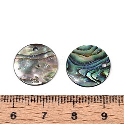 Natürliche Paua-Muschel-Scheibenanhänger&nbsp;SSHEL-N040-19B