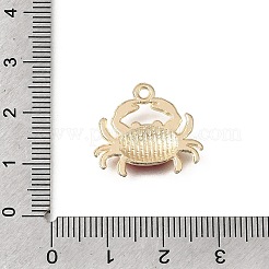 Emaille Anhänger Legierung&nbsp;FIND-H066-07G