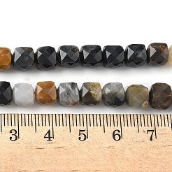 Natürliche versteinerte Holzperlen Stränge&nbsp;G-H078-C51-6mm