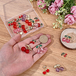 DIY Kirschanhänger-Zubehör-Kits&nbsp;DIY-BM0001-07