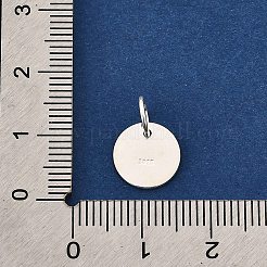 Breloques vierges en argent sterling s925&nbsp;LS-STER-Q006-06C-S