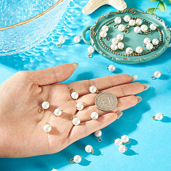 40 Stück 2 Farben Muschelperle runde Charms&nbsp;PALLOY-TA00340
