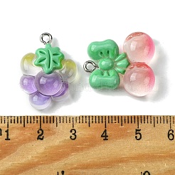 Pendentifs en résine translucide de couleur dégradée&nbsp;RESI-P039-02C