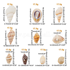Kits de cuentas de conchas de mar naturales&nbsp;SSHEL-PH0002-51