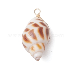 Natürliche Spirale Shell Anhänger&nbsp;PALLOY-JF02949