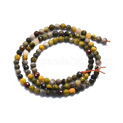 Fili di perle di diaspro naturale calabrone&nbsp;G-P457-A02-30
