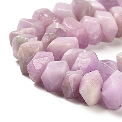 Naturperlen Stränge kunzite&nbsp;G-N327-05-10