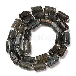 Chapelets de perles en labradorite naturelle &nbsp;G-F836-B06-02