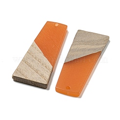 Pendenti in resina e legno di noce&nbsp;RESI-XCP0002-16A