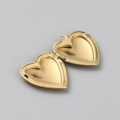 Medaillonanhänger aus chirurgischem Edelstahl 316&nbsp;STAS-WH0044-75G