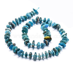 Perline apatite naturale fili&nbsp;G-E569-J01