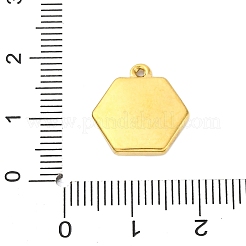 Anhänger aus Edelstahl 304&nbsp;STAS-V004-09G-03
