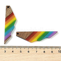Anhänger aus Harz und Walnussholz mit Regenbogenmotiv&nbsp;WOOD-K012-12A