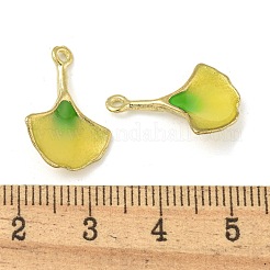 Gestell Legierung Emaille Anhänger&nbsp;FIND-M033-25G