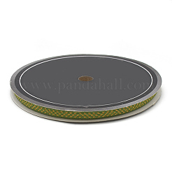 Rubans de nylon tressés&nbsp;SRIB-N003-09B