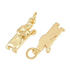 Pendentifs en laiton&nbsp;KK-L275-55G-01