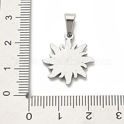 Anhänger aus Edelstahl 304&nbsp;STAS-Q343-13P