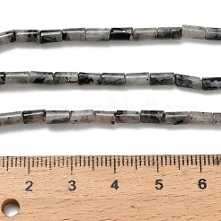 Natürliche Larvikit-Perlenstränge&nbsp;G-P600-B08-01