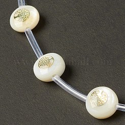 Naturali di acqua dolce perline shell fili&nbsp;BSHE-B005-13D