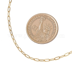 2.5 mm 304 Edelstahl Büroklammer Kette Halsketten&nbsp;NJEW-JN05502