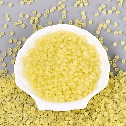 Perline di vetro trasparente satinato fgb&nbsp;SEED-N013-02A-02