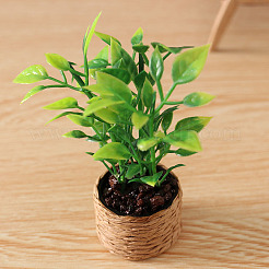 Miniaturornamente aus Kunststoff&nbsp;PW-WG84498-01