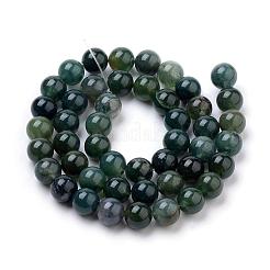 Chapelets de perles en agate mousse naturelle&nbsp;G-I199-06-10mm