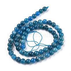 Perline apatite naturale fili&nbsp;G-R446-6mm-11