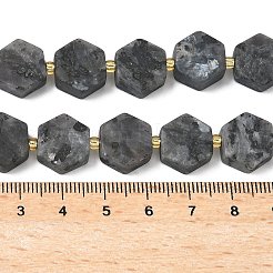 Natürliche Larvikit-Perlenstränge&nbsp;G-A291-A02-01