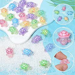 30 Stück transparente Acrylperlen mit UV-Beschichtung&nbsp;TACR-SC0002-77
