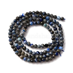 Chapelets de perles en lapis-lazuli naturel&nbsp;G-L629-B01-3mm-02