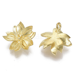 Messing Anhänger & Charms&nbsp;KK-T057-009-NF