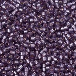 Miyuki Delica Perlen&nbsp;SEED-J020-DB0695