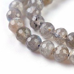Natur Labradorit Perlen Stränge&nbsp;G-O176-04B