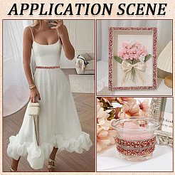 Cinta autoadhesiva de resina con rhinestone de 5 yarda&nbsp;DIY-SP0002-49F