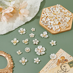42 pz 14 stili di cabochon in plastica&nbsp;FIND-CY0002-45