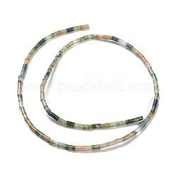 Naturali indian agata fili di perline&nbsp;G-M389-14