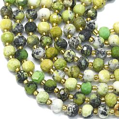 Natur Serpentin Perlen Stränge&nbsp;G-K389-E58-01
