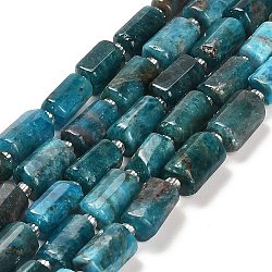Chapelets de perles en apatite naturelle, avec des perles de rocaille, colonne facettes, 9~11x6~7.5x6~7.5mm, Trou: 1.2mm, Environ 30 pcs/chapelet, 15.16~15.55 pouce (38.5~39.5 cm)
