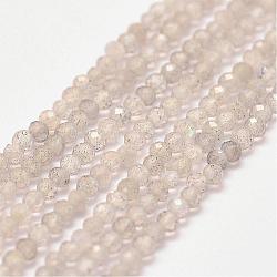 Labradorite naturale fili di perline, sfaccettato, rondelle, 2x1.5mm, Foro: 0.5 mm, circa 190pcs/filo, 15.2 pollice